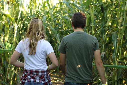 The 7 Best Corn Mazes in Maine!