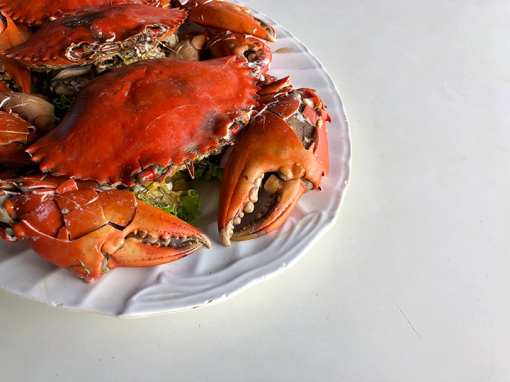9 Best Places for Crab in Maine!
