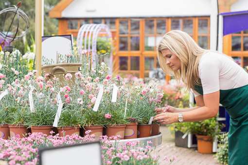9 Best Garden Centers and Nurseries in Maine!